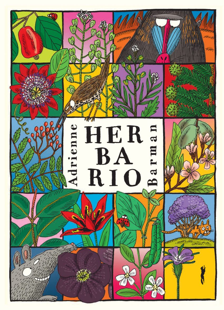 Herbario